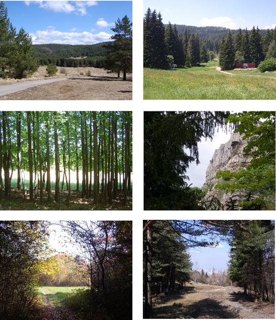 VISUAL PERCEPTIONS AND FOREST LANDSCAPE DESIGN PRINCIPLES ALONG WALKING TRAILS