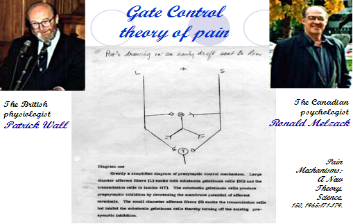 PHYSICAL ANALGESIA OR THE POTENTIAL OF PHYSICAL MODALITIES TO REDUCE PAIN