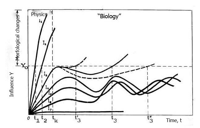 ANALYSIS OF THE MECHANISMS OF ACTION OF ULTRASOUND ON BIOLOGY CELLS (18-23)